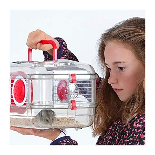 Zolux Käfig für Hamster, Mäuse, Rennmäuse, 3 Zoll Mini, 1 Unité (Lot de 1)