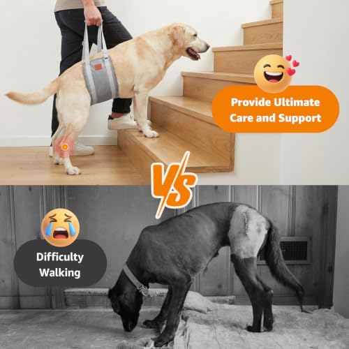 Image of LOOBANI Dog Sling for Large Dogs Hind Leg Support Injury Rehabilitation