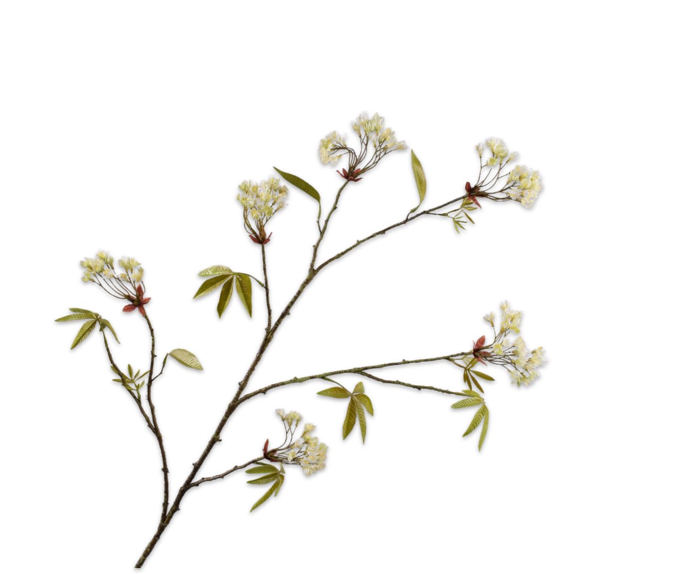 Künstliche Blume – Seidenblumen, Ahornzweig, cremefarben, 110 cm