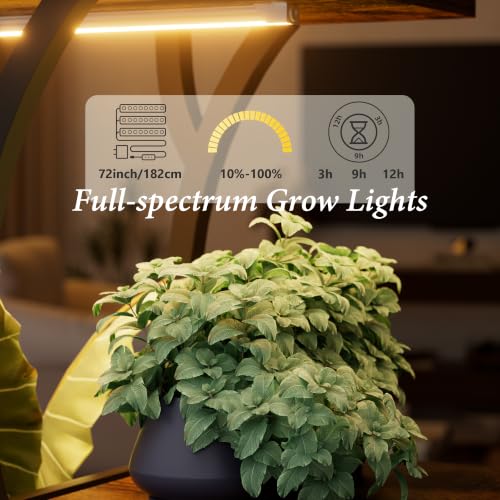 Image of Plant Stand Indoor with Grow Lights - 5 Tiered Corner Plant Shelves (Brown)