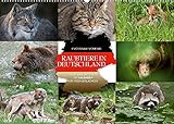 VIELFALT - Mit über 25.000 verschiedenen Kalendern bietet der CALVENDO Verlag für jeden Geschmack das richtige Produkt. Zudem sind die Kalender meist in den Formaten DIN A5, DIN A4, DIN A3 sowie DIN A2 verfügbar. Der ideale Kalender für Ihr Wohnzimmer, Schlafzimmer, Küche, Esszimmer sowie für Kinderzimmer.