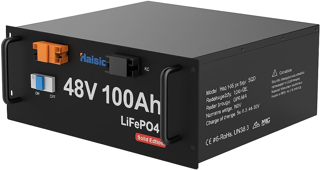 48V 100Ah LiFePO4 Lithium Battery, New 48V 100Ah with BMS Safety Protection, Life of 10 Years, for Solar Photovoltaic Applications, Camper, etc. -4800Wh