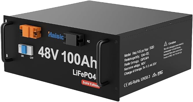 48V 100Ah LiFePO4 Lithium Battery, New 48V 100Ah with BMS Safety Protection, Life of 10 Years, for Solar Photovoltaic Applications, Camper, etc. -4800Wh