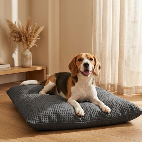 Image of SleepyCat Original Dog Bed | Cozy & Durable Shredded Foam Cushioning | Lightweight & Portable | Scratch, Water & Chew Resistant Fabric | Machine Washable Cover | (Grey, Medium, 36 x 26 inches)