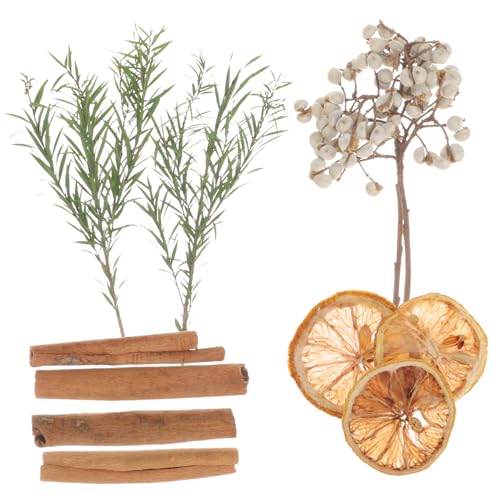 Kit de flores secas para manualidades y decoración