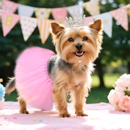 Disfraz para perro con tutu y corona de perlas miniatura 7