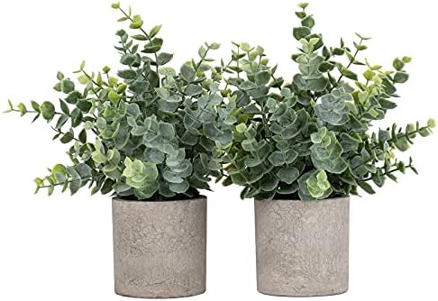 Paoripets 2pcs Artificial Eucalyptus Potted Plants Small Fake Plants in Pots Faux Eucalyptus Potted Plant Set for Home Shelf Decoration Office Table Desktop Decoration