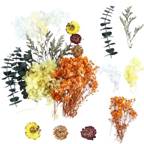 KEMUZ Kemuzu Flores Secas Decoracion, Flores Preservadas Naturales De Andalucía, 1 Paquete De Flores Secas Para Manualidades Diy, Decoración Del Hogar, Bodas, Álbumes Y Regalos Únicos