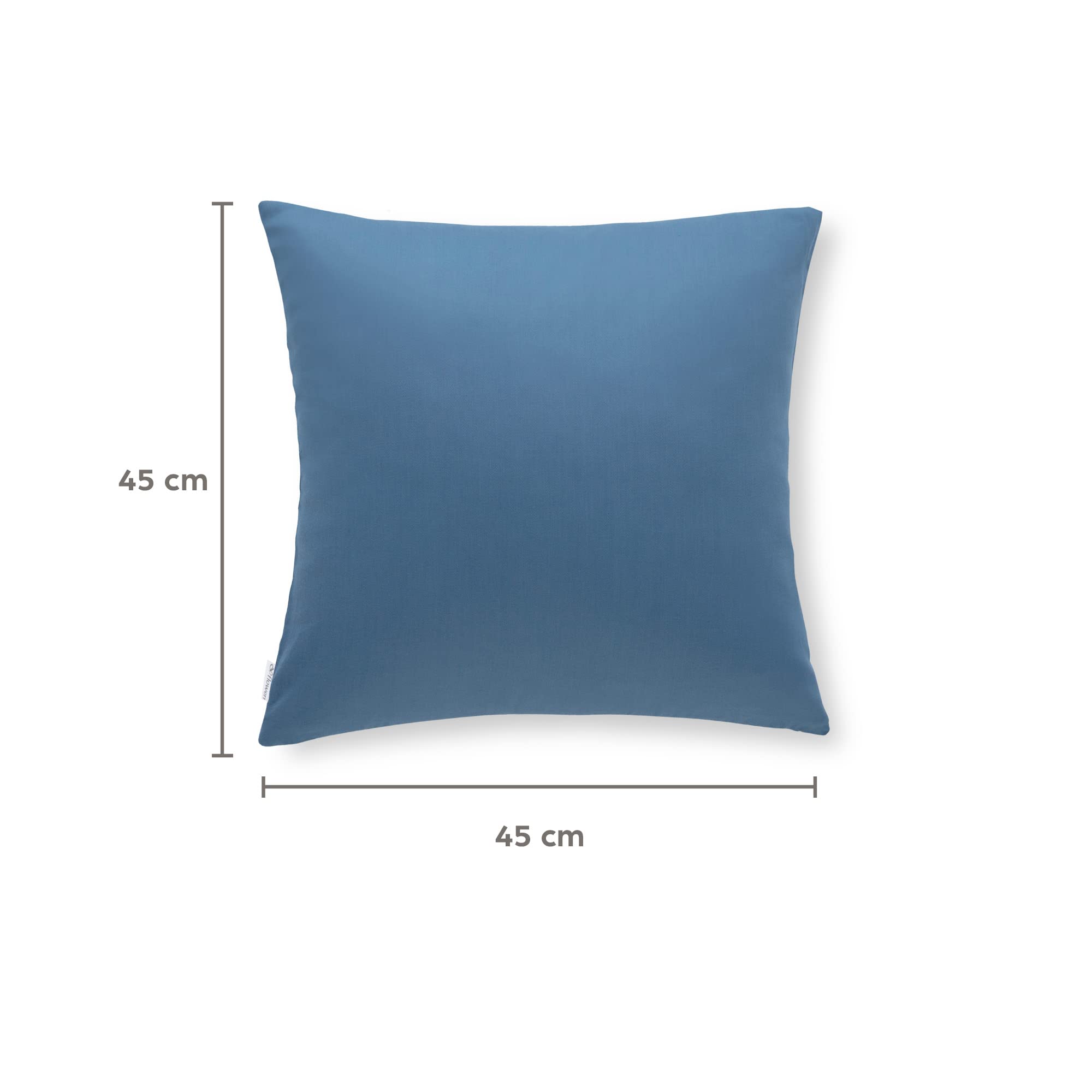 Flowen Federe Cuscini Divano 45x45 Set da 2 Copricuscini Decorativi in Microfibra Anallergici Fodere Quadrate Antiacaro 100% Poliestere Traspirante Bifacciali per Arredo Moderno Letto e Sedia