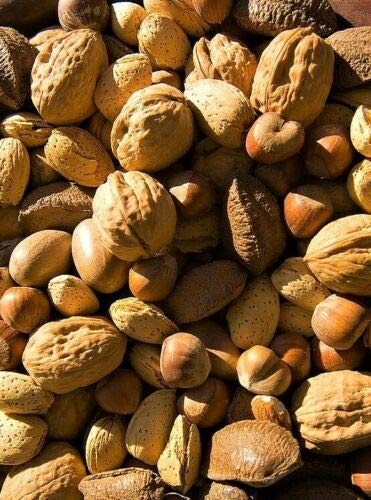 Miniatura 2 de Nueces mixtas enteras de California Fresh Raw en cáscara (3)