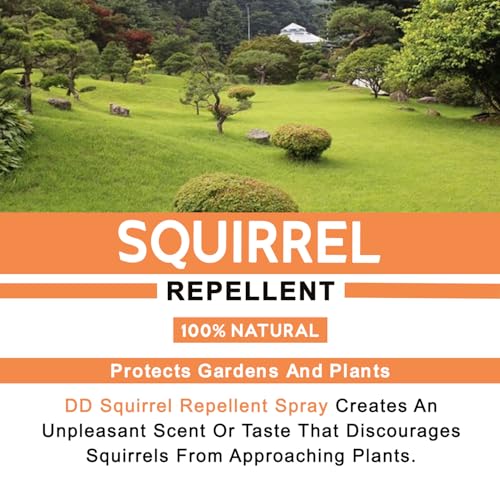 100% Natural Squirrel Repellent - Prevents Garden Damage, Discourage Nesting, Protect Wiring, Prevents Chewing on Outdoor Furniture (250ml Postal) - 3
