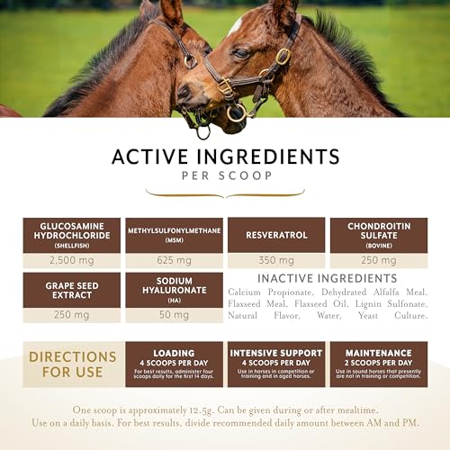 Equithrive Complete Joint Supplement Pellets with Resveratrol, Glucosamine, Chondroitin, Hyaluronic Acid and MSM for Horses, 1.65 lbs - Image 4