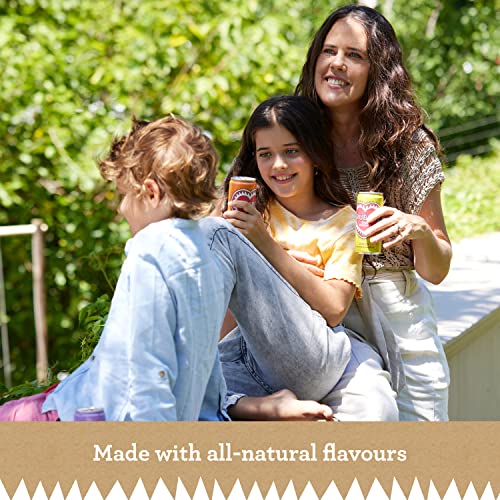 Rubro - Peach Rooibos - 6 Can Multipack - 300ml - Still, Soft Drink - Peach Tea Drink - Natural Flavours - Caffeine Free - Bulk Soft Drinks