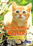  Meine erste Katze. Anschaffen, ernähren, pflegen, verstehen