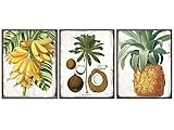 Vintage Rustic Tropical Wall Decor Poster Set -8x10 Hawaiian Coconut, Pineapple, Bananas Decorations - Art for Kitchen, Dining Room, Living Room, Beach House - UNFRAMED Sign Plaque Replica