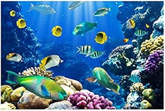 Photo Block Tropical Fish Landscape Tableau 45cmx 30cm - 2724819198588