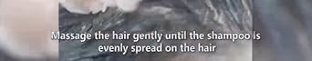 Video Widget Video Title Section
