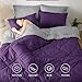 Bedsure Queen Comforter Set - 7 Pieces Reversible Purple Bedding, Queen Size Bed Set for All Seasons, Bed in a Bag with Down Alternative Comforter, Sheets, Pillowcases & Shams