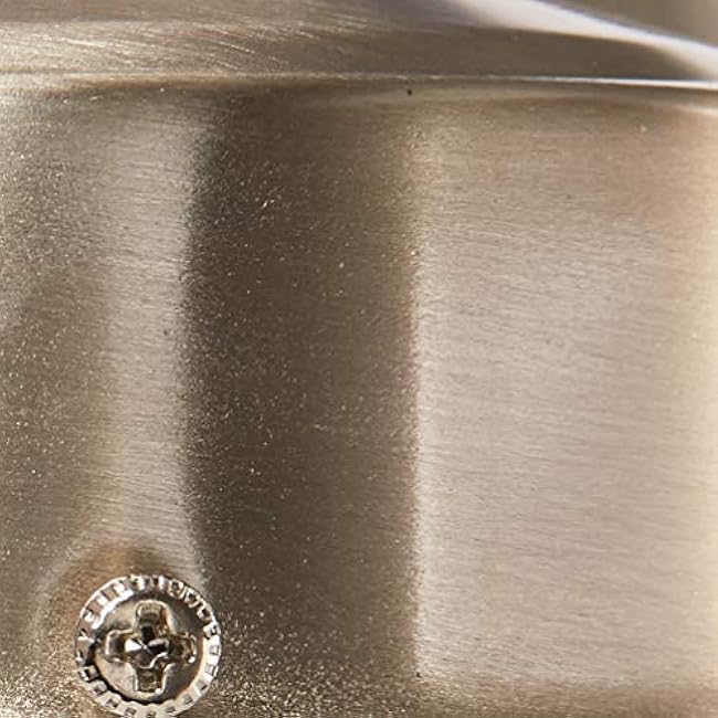 Nuvo SF76/705 Porch Wall Fixture with Globe, Brushed Nickel, Polished Brass