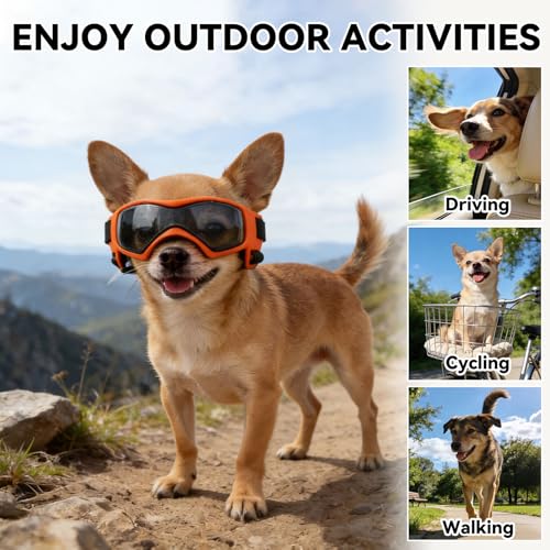 Image of Dog Goggles, Small Breed Dog Sunglasses, UV Protection, Wind & Dust Rain Snow Protection, Orange, Small