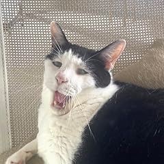 �q�� feat. �Ȃ��܂��� / ��۔h