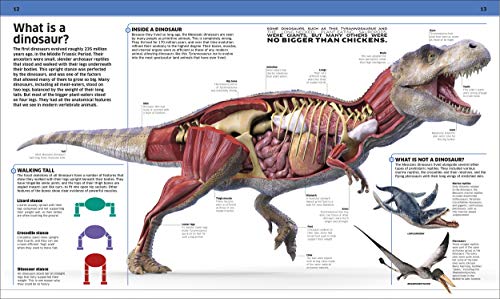 Dinosaur!: Over 60 Prehistoric Creatures as You've Never Seen Them Before
