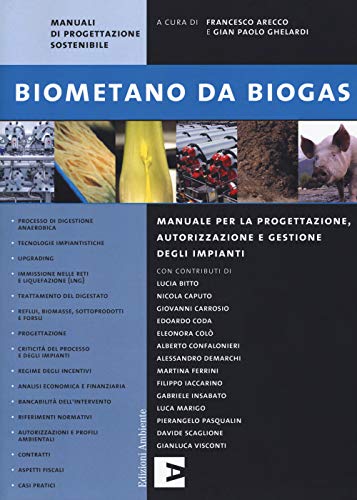 Biometano da biogas. Manuale per la progettazione