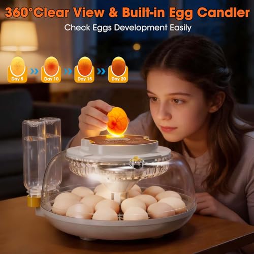 18 Egg Incubator with Automatic Egg Turning & Humidity Control, Built-in Egg Candler, 360° View Window & Dual-Size Trays for Chicken, Duck, Quail, Goose Eggs – Ideal for Farm, Classroom, Home - Thumbnail 5