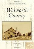 walworth londres avis  Walworth County (Postcard History) by Duane E. Stabler (2013-07-08)