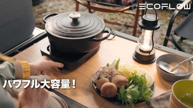Amazon.co.jp: ECOFLOW DELTA 3 Classic 1024Wh と160W軽量両面