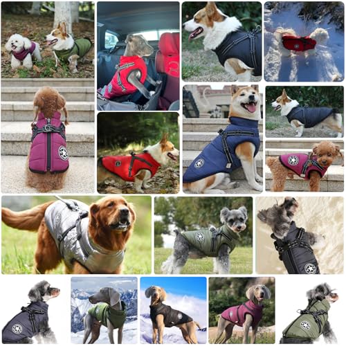 Ectkuee Wasserdichter Wintermantel mit Geschirr für Hunde, Jacke, Kostüm, warm, Kleidung, Welpen, Tierweste, reflektierend, winddicht, für kleine und mittelgroße Hunde (strapazierfähiger D-Ring)
