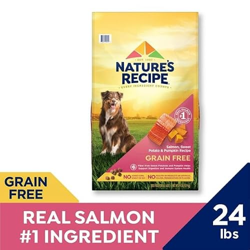 Grain Free Salmon, Sweet Potato & Pumpkin Recipe, Dry Dog Food, 24 Lb, No Artificial Flavors, Colors, Or Preservatives - Thumbnail 3