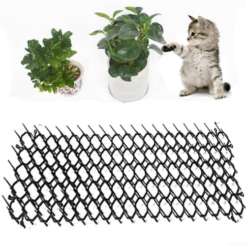 Moments nassfutter katze test