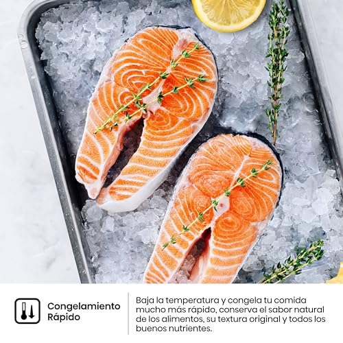 Hisense RB440N4ACA - Frigorífico Combi, Eficiente Clase A, Capacidad 336 L, Multi-air Flow, Micro Vents Cooling, Congelamiento Rápido, Total No Frost, Puerta Reversible, Color Inox - imagen 8