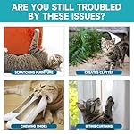 Cat Deterrent Spray, Cat Scratch Deterrent for Furniture, Cat Repellent Spray to Keep Cats Away, Cat Repellent Spray for Furniture Indoor & Outdoor, Prevent Scratching, Digging & Chewing 200ml - Image 3