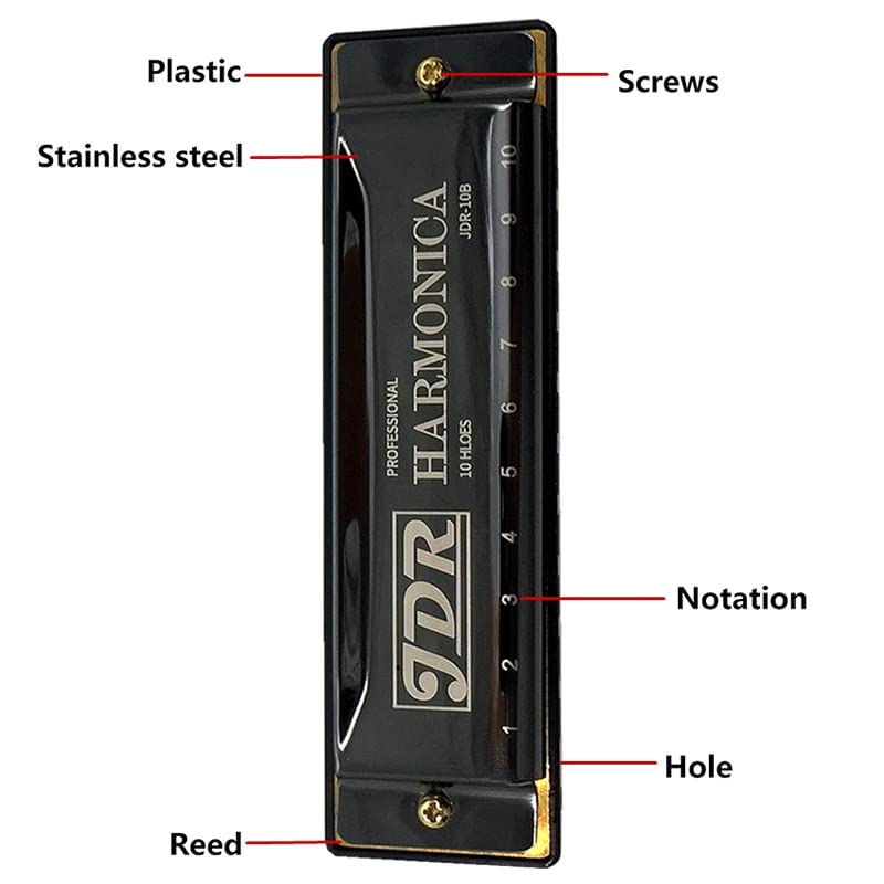 Harmonica Clé 10 orifices orgue harpe instrument professionnel C Tone Blues gaita harmonica avec cas Puzzle enfants - Les Beatles, Paul McCartney, John Lennon, RIngo Starr, George Harrison Harmonica Clé 10 orifices orgue harpe instrument professionnel C Tone Blues gaita harmonica avec cas Puzzle enfants – Image 4
