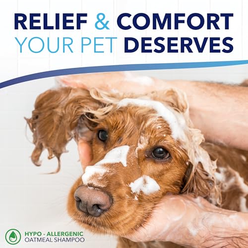 Image of TropiClean OxyMed Hypoallergenic Dog Shampoo for Allergies and Itching, Skin Soothing Shampoo for Pets with Sensitive Skin, Tearless, Cat Safe, 20oz.