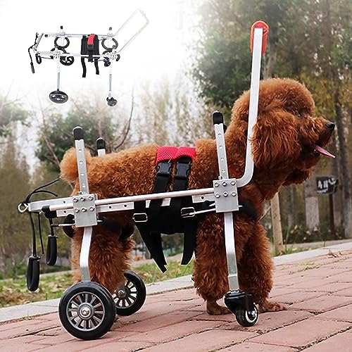 Carrito para perros con problemas de movilidad y soporte ajustable para patas traseras