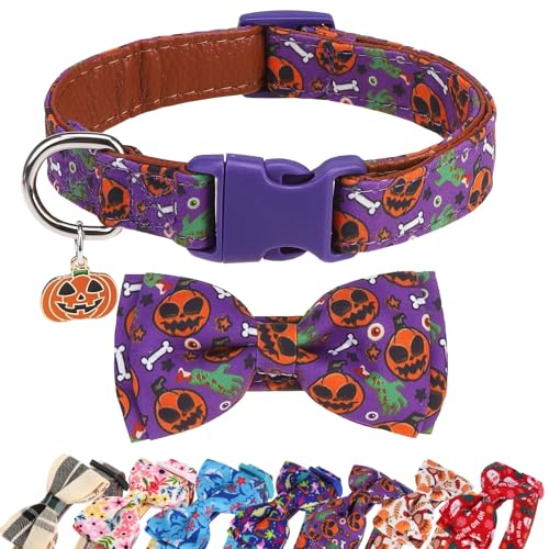 DILLYBUD Small Dog Collar with Bow Tie Dog Collars for Small Dogs Halloween Ghost Pumpkin Design Adjustable Detachable Holiday Bowtie Collar with Safety Buckle for Puppy Boy Girl Neck 13-18 M