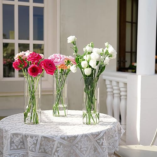 KAMJUNTAR Glass Vases for Flowers 7 Pcs 10 Inch Glass Cylinder Vases for Centerpieces Flower Vase Floral Arrangement Clear Tall Vase for Table Centerpiece Wedding Home Decor - Cosy Home Interiors KAMJUNTAR Glass Vases for Flowers 7 Pcs 10 Inch Glass Cylinder Vases for Centerpieces Flower Vase Floral Arrangement Clear Tall Vase for Table Centerpiece Wedding Home Decor - Image 5