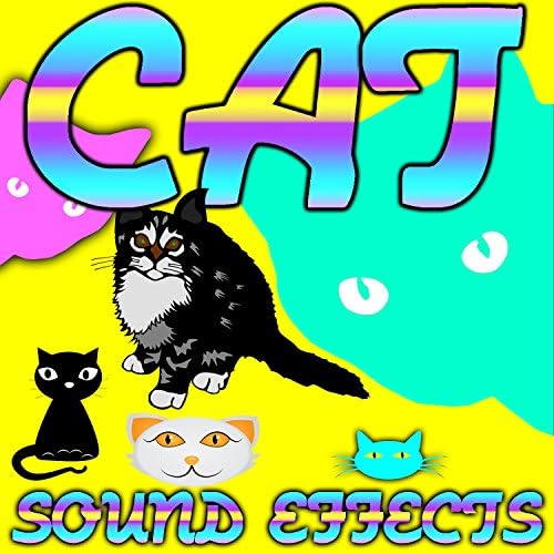 Cat Sound Effects by Text Tone Sound Effects on Amazon Music