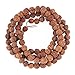 Craftdady 100 Stück ungefärbte natürliche Rudraksha-Perlen authentische Himalaya-echte runde Perlen Rosenkranz Japa Mala Perlen für Gebetskette Puja Meditation 50/100 günstig Kaufen-Craftdady 100 Stück ungefärbte natürliche Rudraksha-Perlen authentische Himalaya-echte runde Perlen Rosenkranz Japa Mala Perlen für Gebetskette Puja Meditation