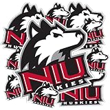 Desert Cactus Northern Illinois Huskies Sticker Car Decal (T3-1)