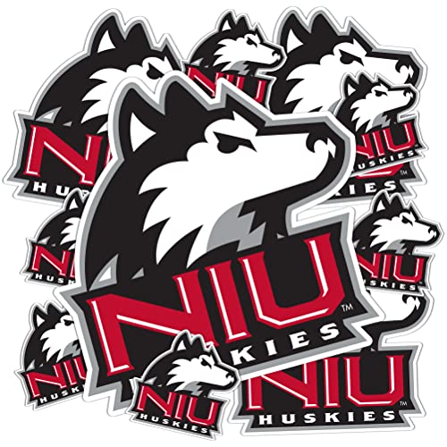 Desert Cactus Northern Illinois University Sticker NIU Huskies Vinyl Decals Laptop Water Bottle Car Scrapbook T3 (Type 3-1)