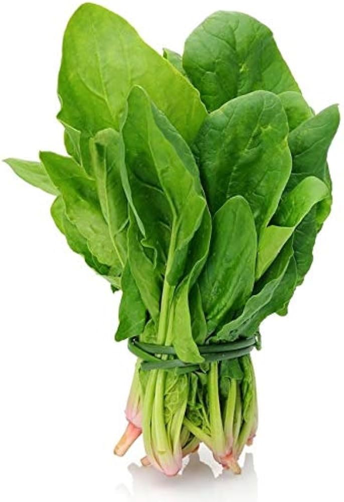 Broccoli Seeds - Grow Your Own! -11