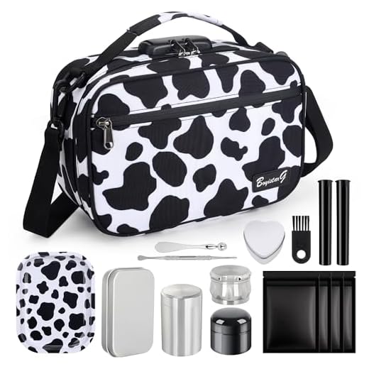 BOYISTARG Compact Storage Bag with Lock