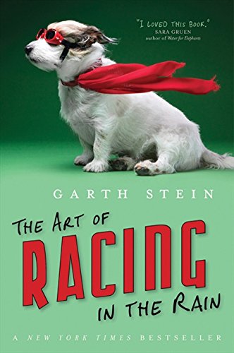 Art Of Racing In The Rain [Paperback] Stein, Garth