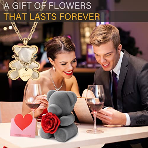 Willshine Rose Teddy Bear Preserved Forever Rose Flower With 18K Real Gold Pendant Necklace For Women,Eternal Red Rose Gift Box For Her On Anniversary Valentines Day Mothers Day Christmas Birthday. #TOP4