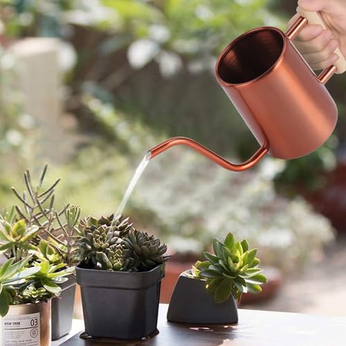 Image of Watering Can Indoor Plants, 35 oz /1000 ml Metal Stainless Steel Watering Can Pot with Long Spout for Indoor House Plants Bonsai Outdoor Garden Flower Decorative (Copper)