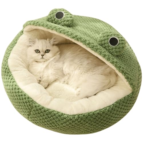 킢JG̃t[htLpxbhA~ߒtAӂӂ̊ۂJG̓AO[ALƏ^p̔ybg}bgij(S)